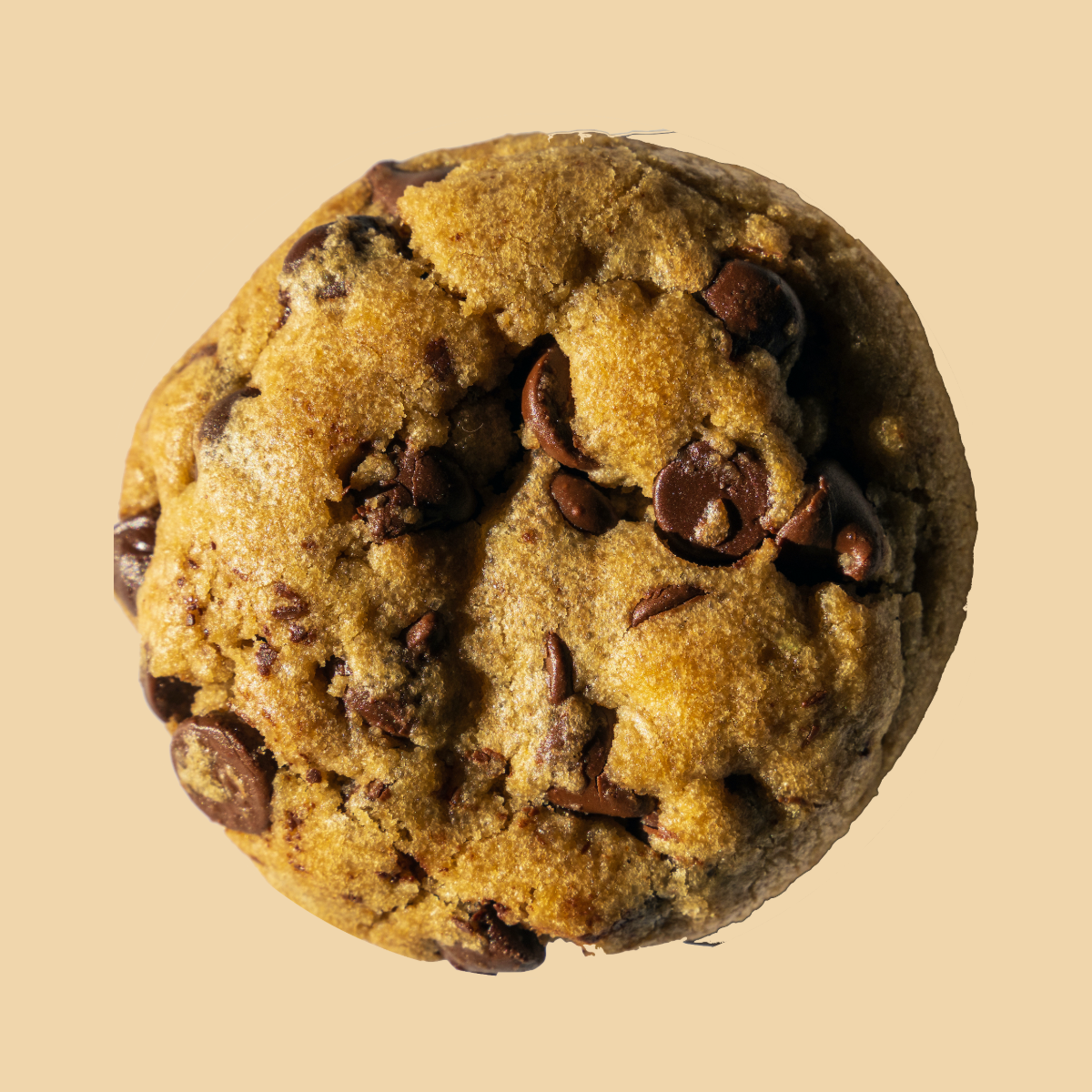 Gluten Free Vegan Chocolate Chip